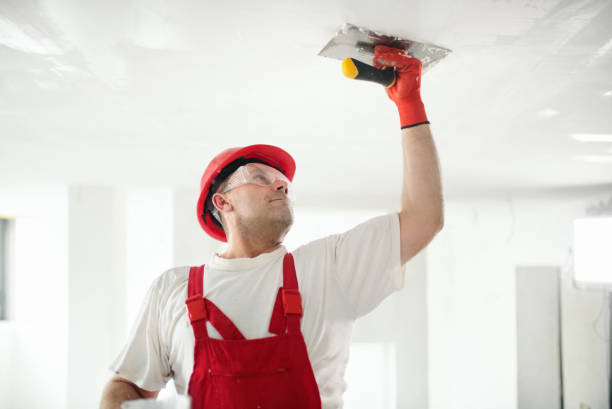 Best Mold Damage Restoration  in Coral Springs, FL